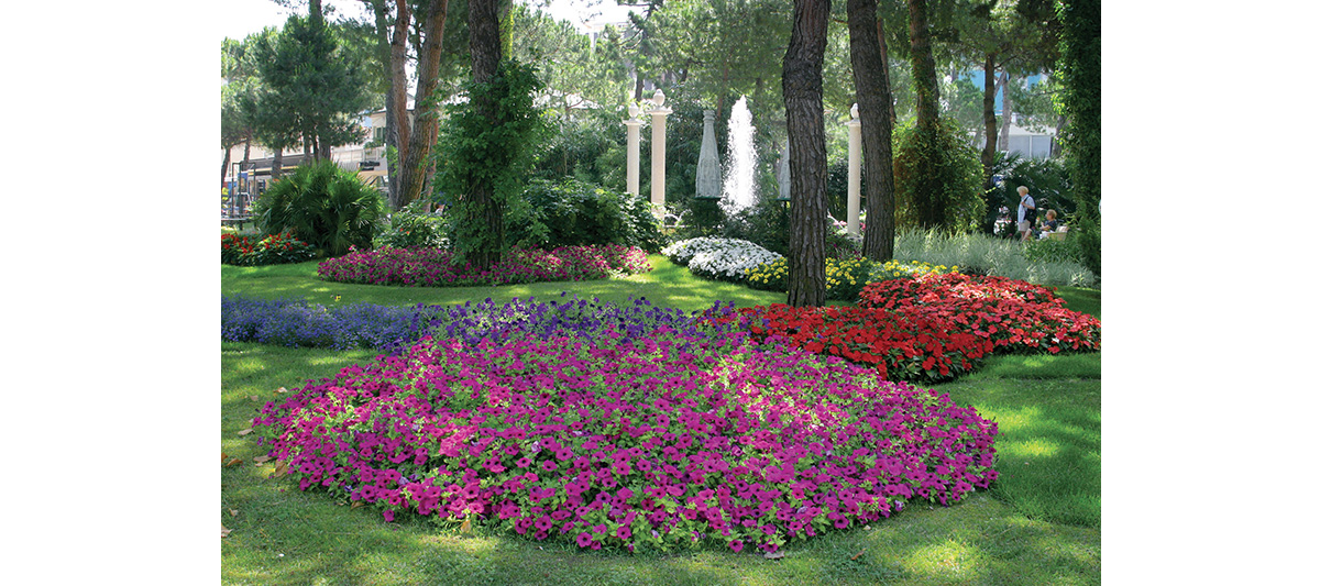 Cervia Primavera – Fiori di maggio