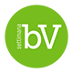 bv_17_logo-03