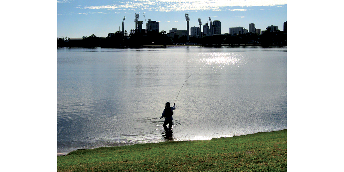 Perth Blue – Island and zoo