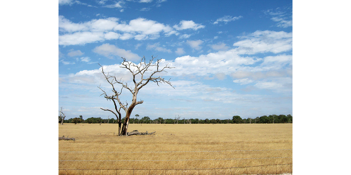 Perth Around – Swan Valley & Whiteman Park