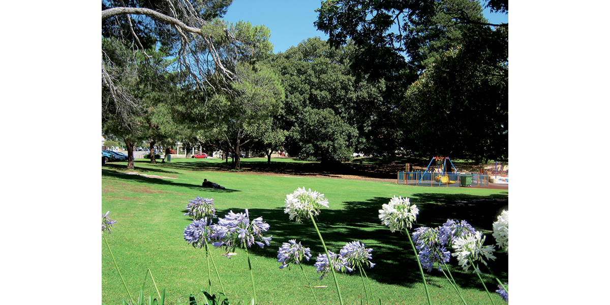 Perth Green – Wetland and grass